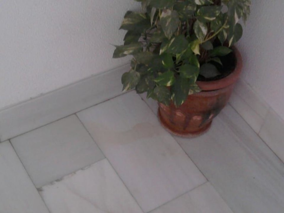 Hier der angesprochene Urinfleck im Stiegenhaus Millor Sol
