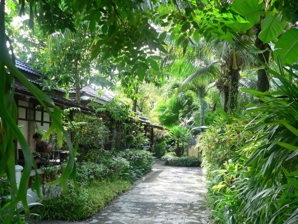 Gartenbereich zwischen den beiden Bungalowzeilen Bangtao Beach Chalet