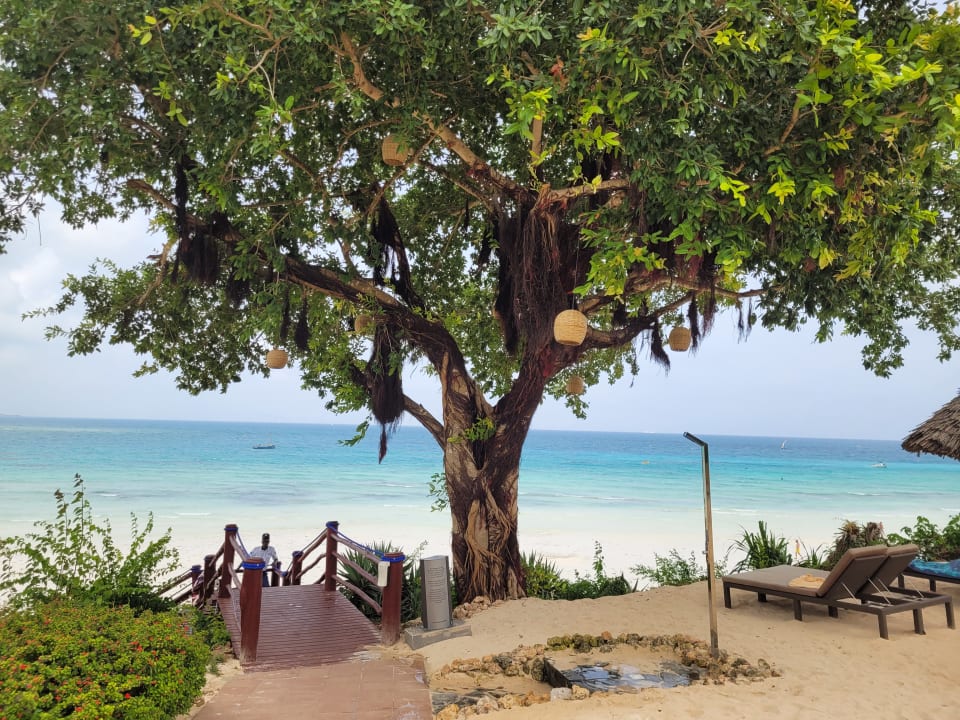 Ausblick Hotel Riu Palace Zanzibar