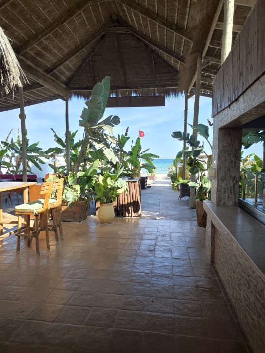 Strand Hotel Royal Nozha