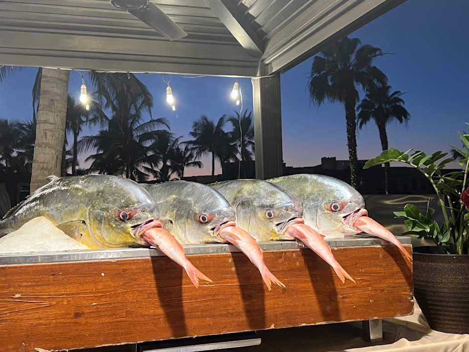 Gastro Salalah Rotana Resort