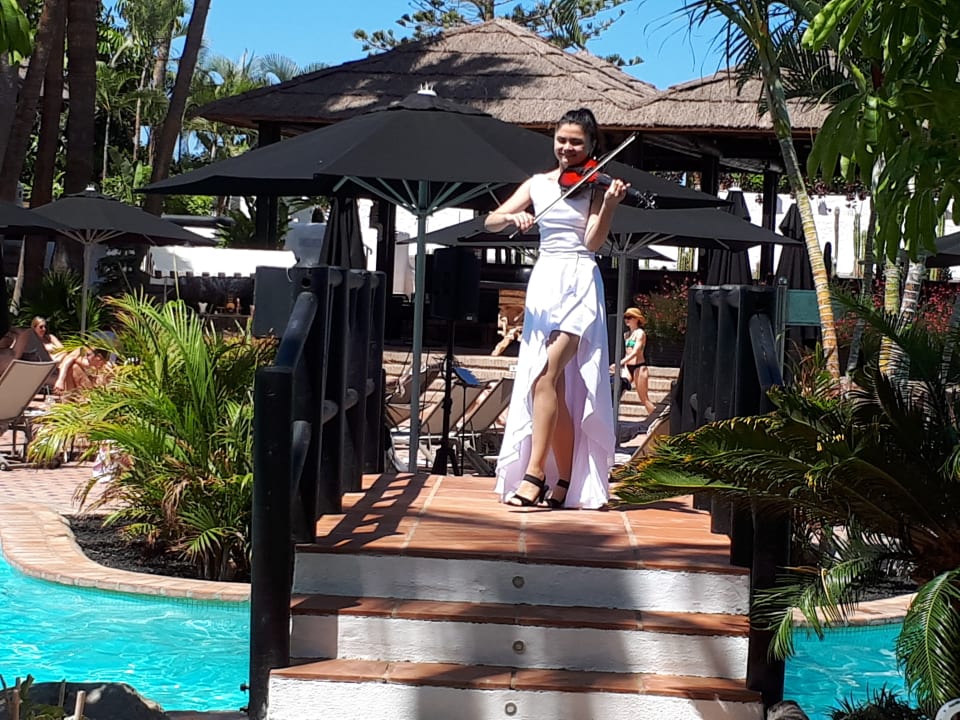 Live Musik am Pool Dreams Jardín Tropical