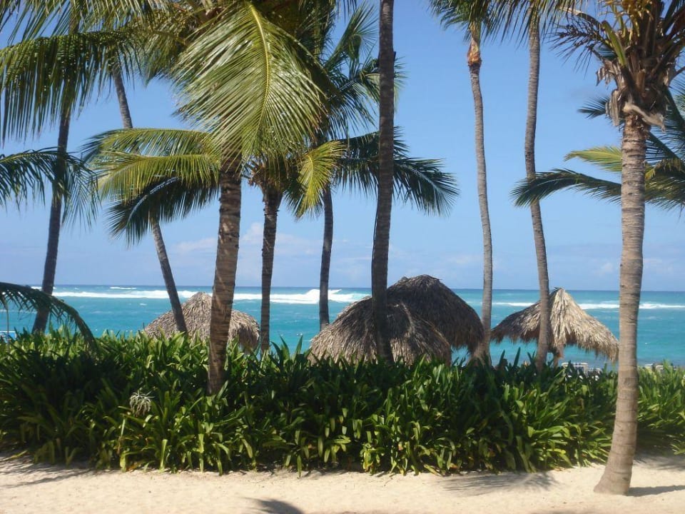 Strand vor dem Hotel Royalton Splash Punta Cana