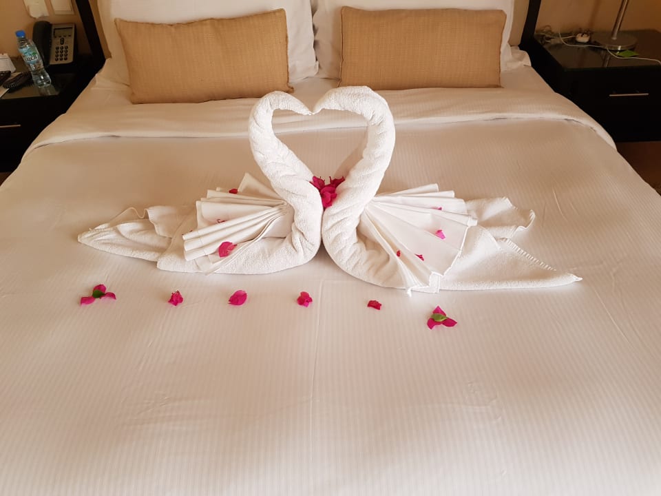 Zimmer The Cove Rotana Resort