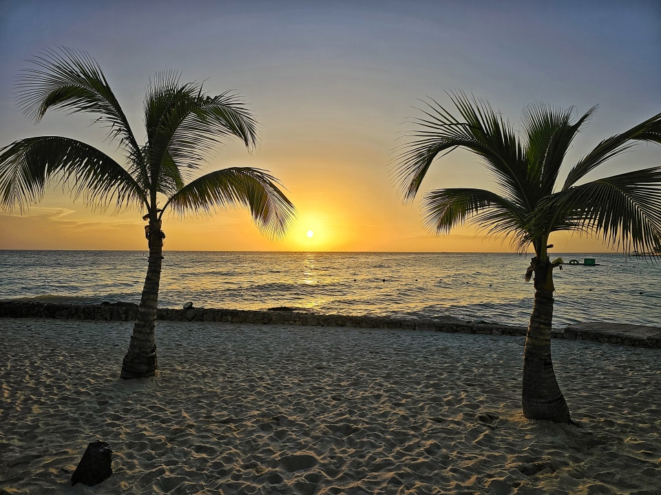 Strand Hotel Viva Dominicus Palace by Wyndham-All Inclusive Resort