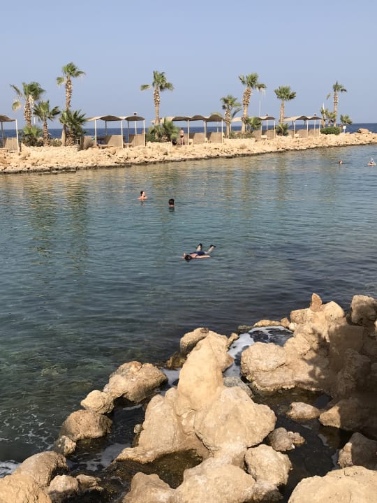 Fischreiche Lagune Pickalbatros Citadel Resort