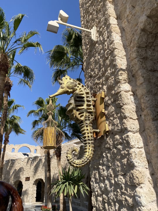 Außenansicht Pickalbatros Citadel Resort