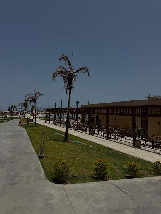 Gartenanlage JAZ Elite Asteria