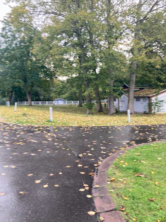 Außenansicht Seehotel Frankenhorst - BW Signature Collection