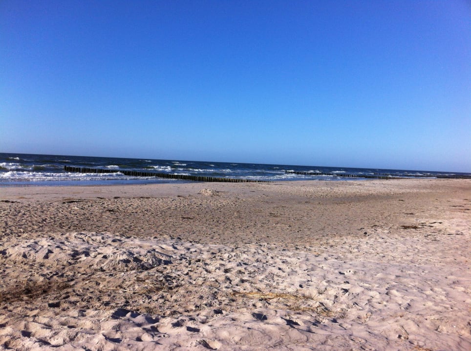 Strand in Hotelnähe Ostseehotel Dierhagen