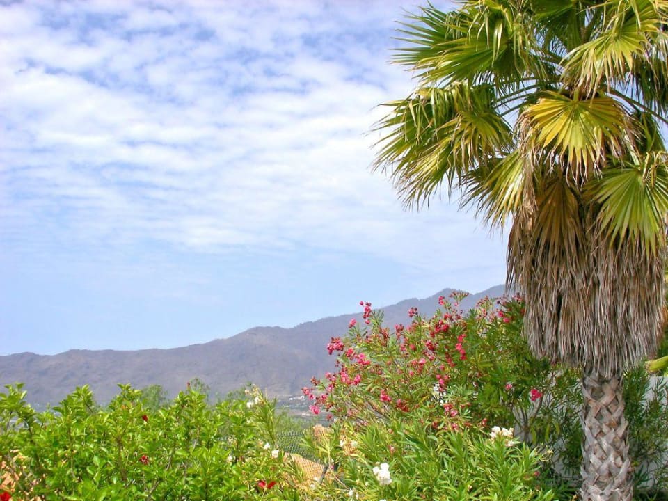 Blick von unserer Terrasse La Palma Jardin