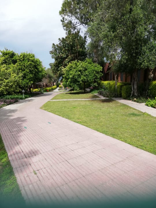 Gartenanlage Can Garden Beach
