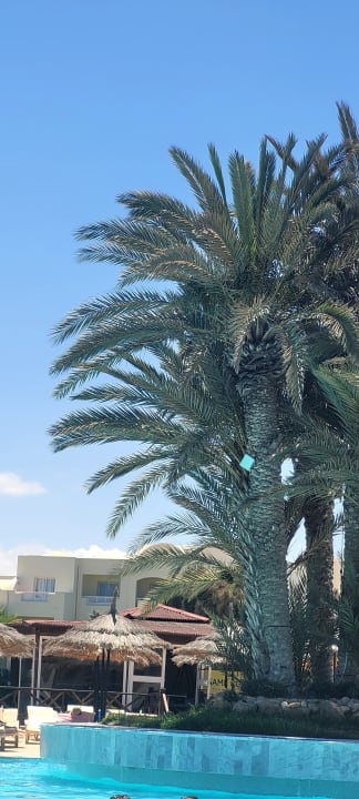 Gartenanlage TUI MAGIC LIFE Penelope Beach