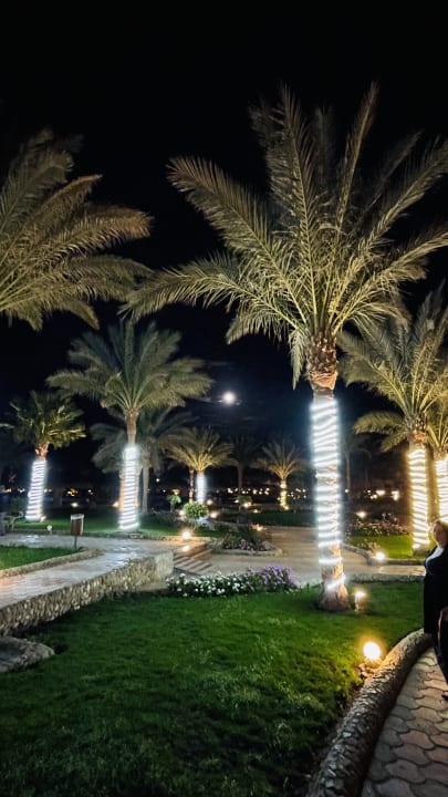 Gartenanlage Three Corners Sea Beach Resort