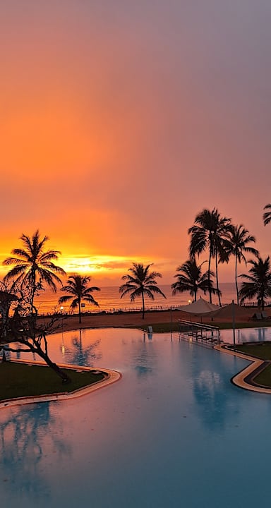 Pool Club Hotel Dolphin