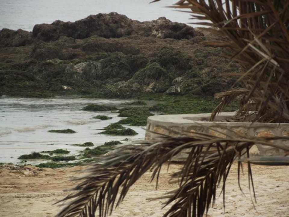 Strandabschnitt Hotel El Mouradi Djerba Menzel
