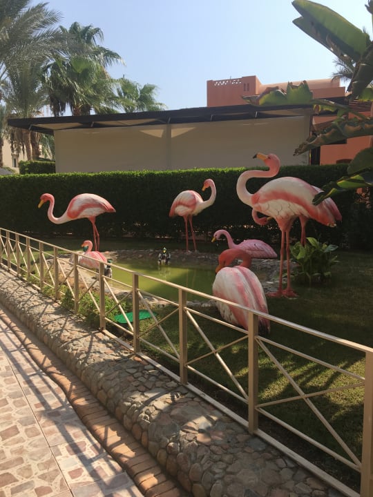 Strand Hotel JAZ Makadi Star & Spa