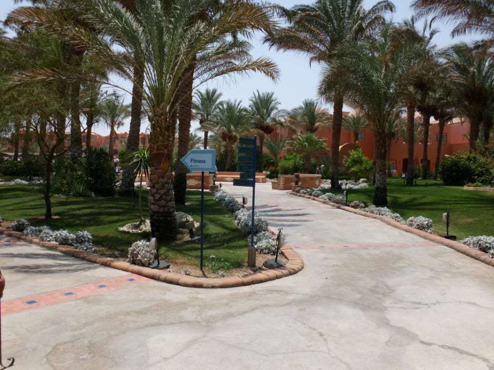 Blick in den Garten Jaz Makadi Oasis Resort