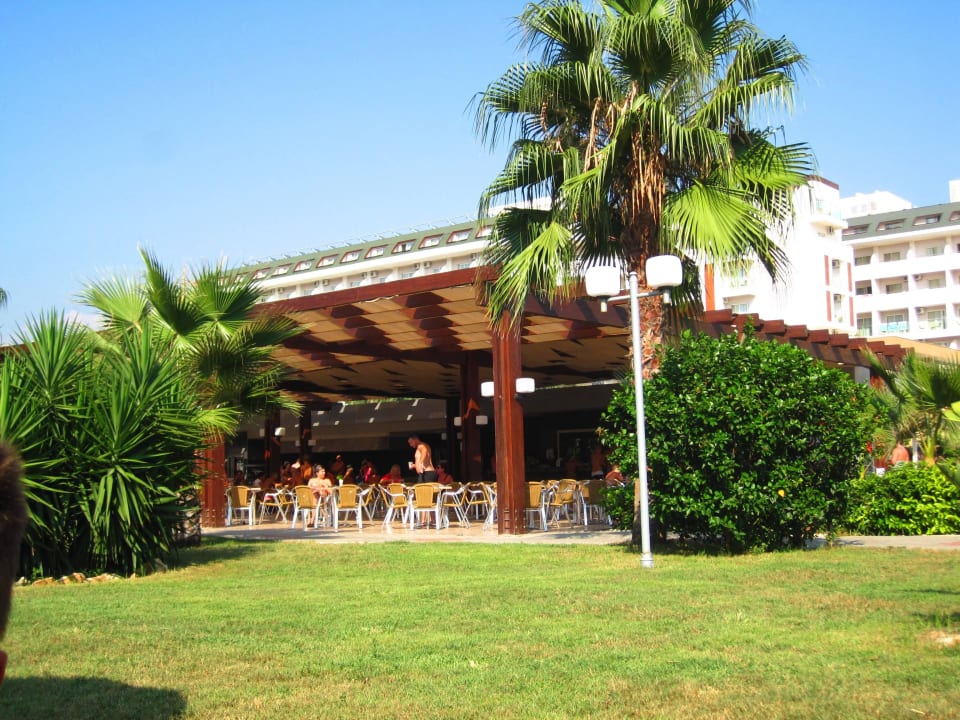Poolbar Hotel Royal Garden Beach