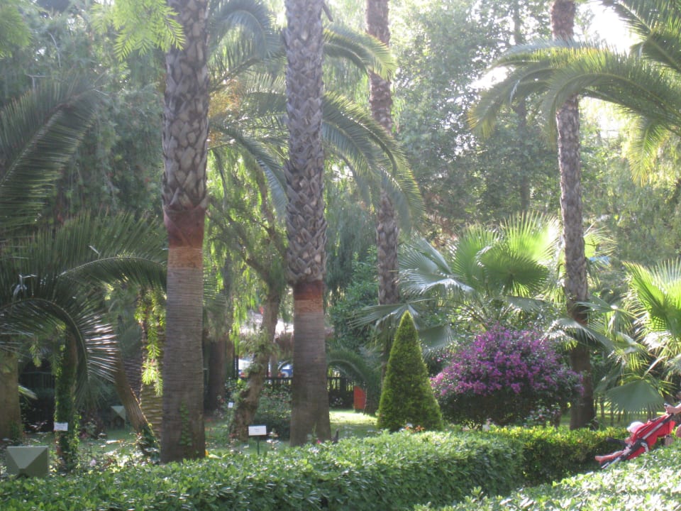 Территория Botanik Hotel & Resort