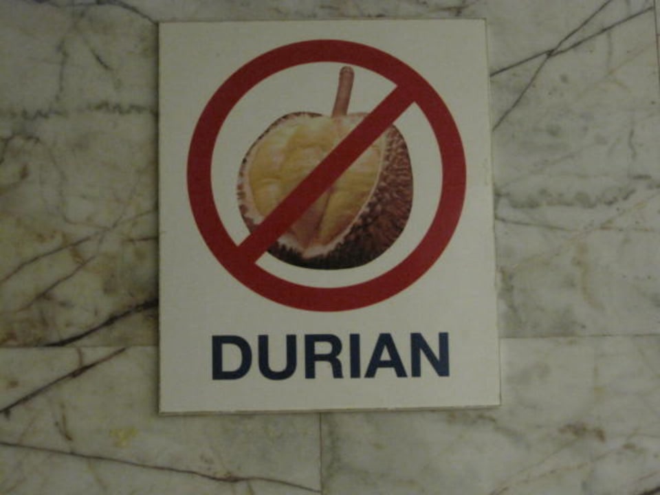 Stinkfrucht Hotel Flipper House