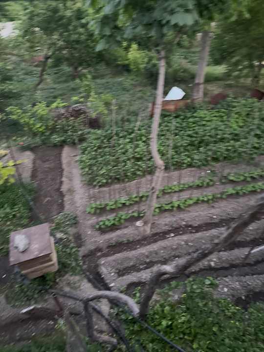 Gartenanlage Arman Bed and Breakfast