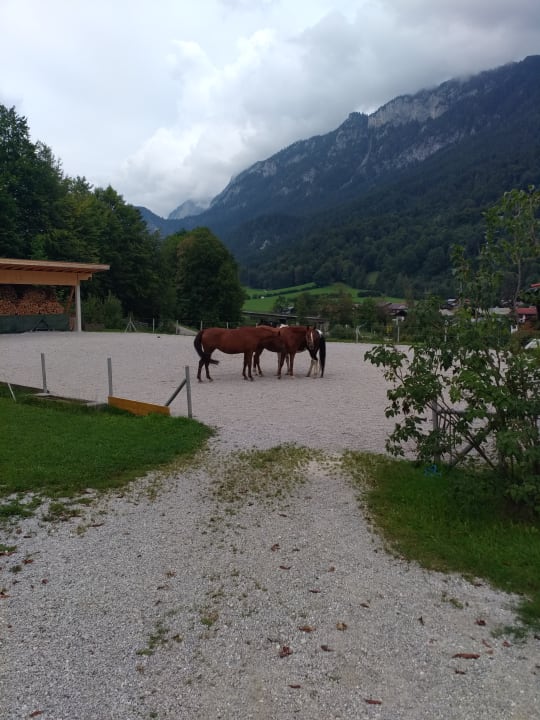 Sonstiges Naturhotel Reissenlehen