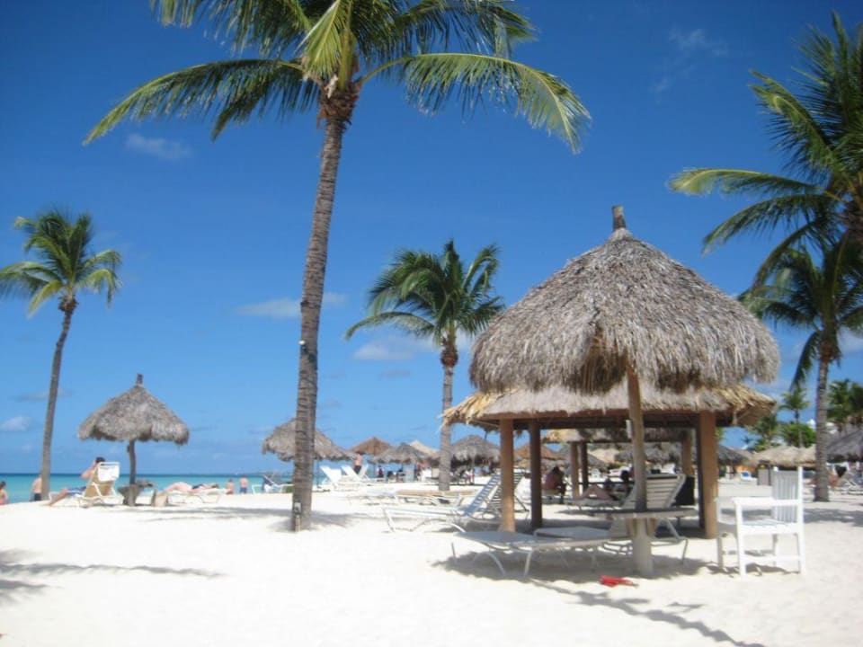 Hotelstrand mit Strandhütte Bucuti & Tara Beach Resort - Adults only