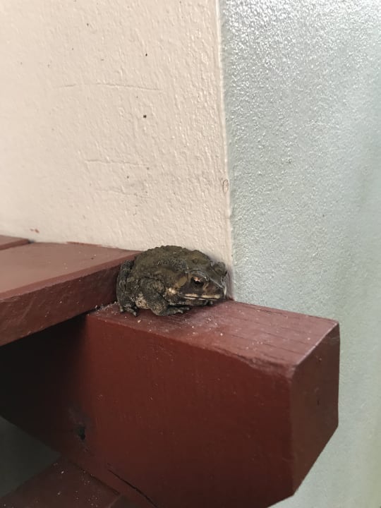 Sonstiges Khaolak Laguna Resort