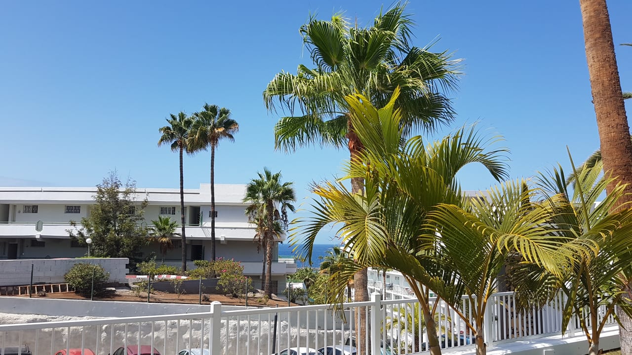 Ausblick Hotel Riu Arecas - Adults only