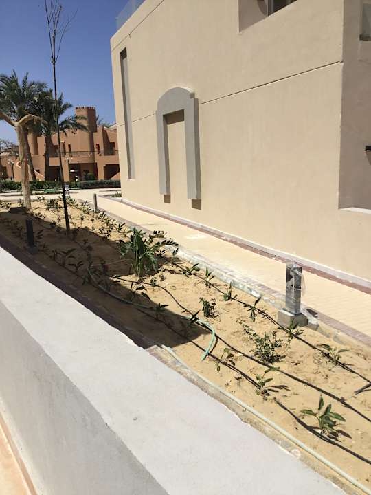 Ausblick Diamond Beach by Pearl Resort