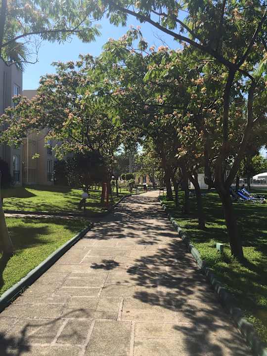 Gartenanlage Labranda Alantur Resort