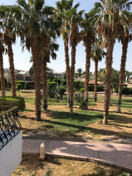 Gartenanlage Lotus Bay Beach Resort