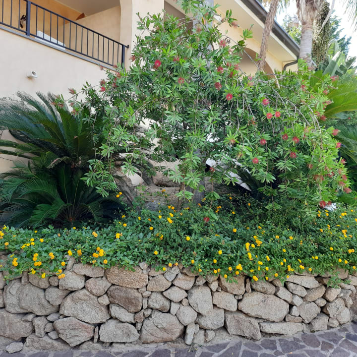 Gartenanlage Hotel Cannamele Resort