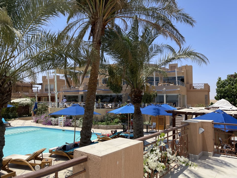 Pool Shams Prestige Abu Soma-Adults Only