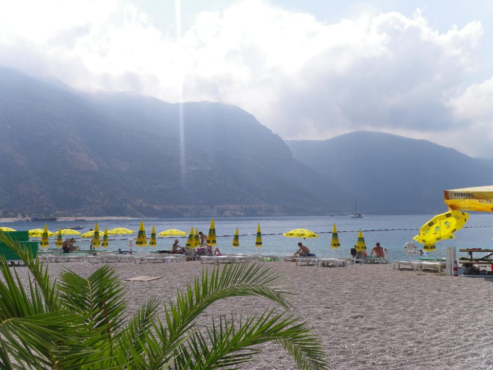 Strand Ölü Deniz Montana Pine Resort