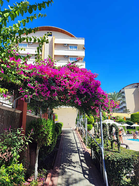 Außenansicht Alaiye Resort & Spa