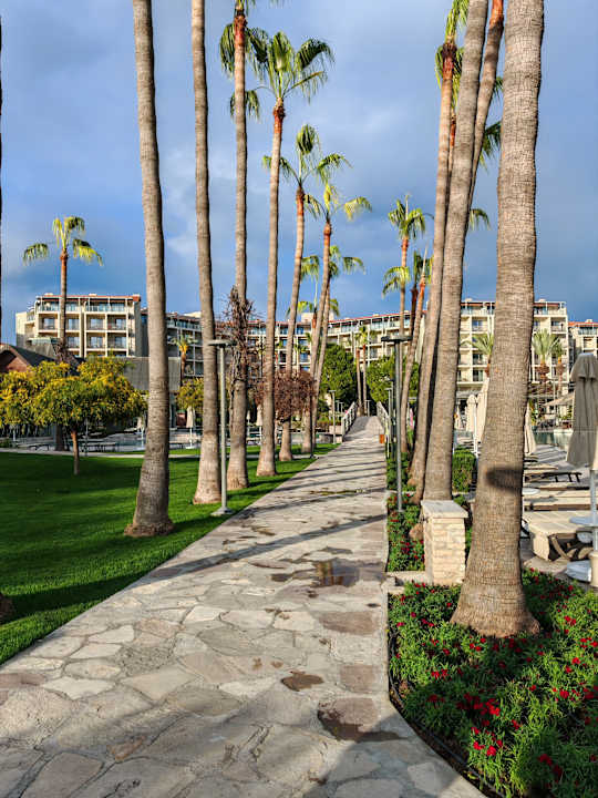 Gartenanlage Arum Barut Collection