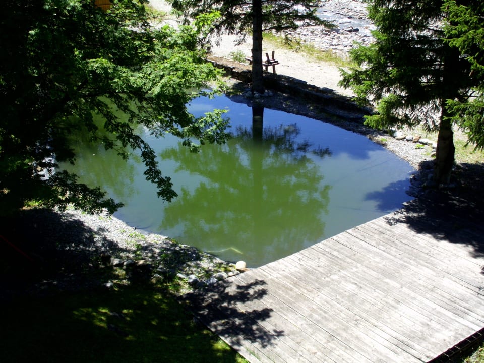 Blick auf dem Teich Natur-Residenz Anger Alm