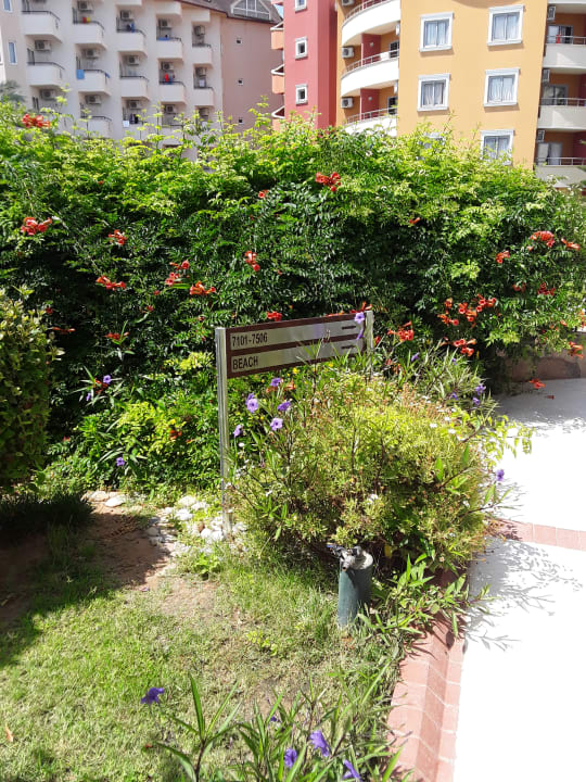 Gartenanlage Alaiye Resort & Spa