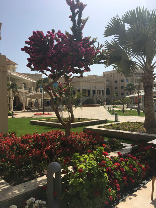 Gartenanlage Pickalbatros White Beach Resort - Hurghada