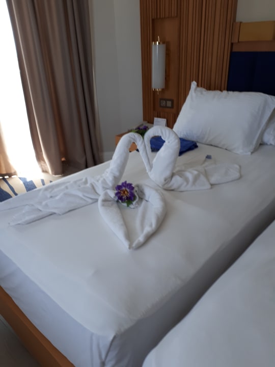 Zimmer Sidemarin Kirman Premium