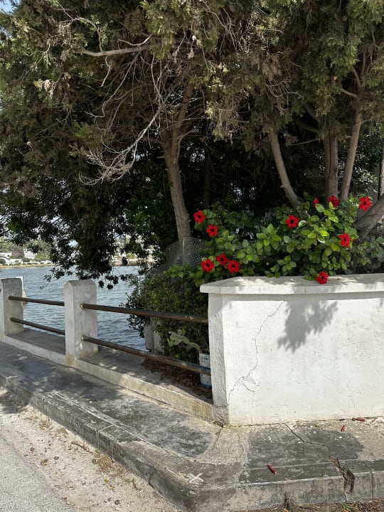 Gartenanlage Marhaba Royal Salem