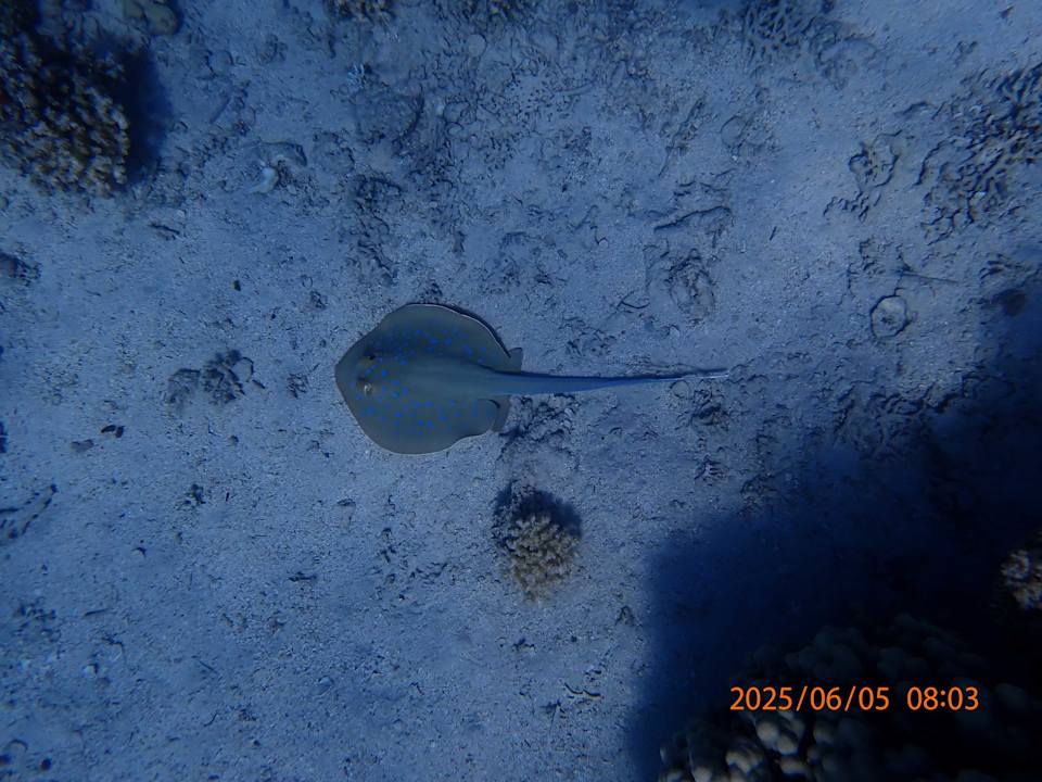 Strand Makadi Spa - Adults only