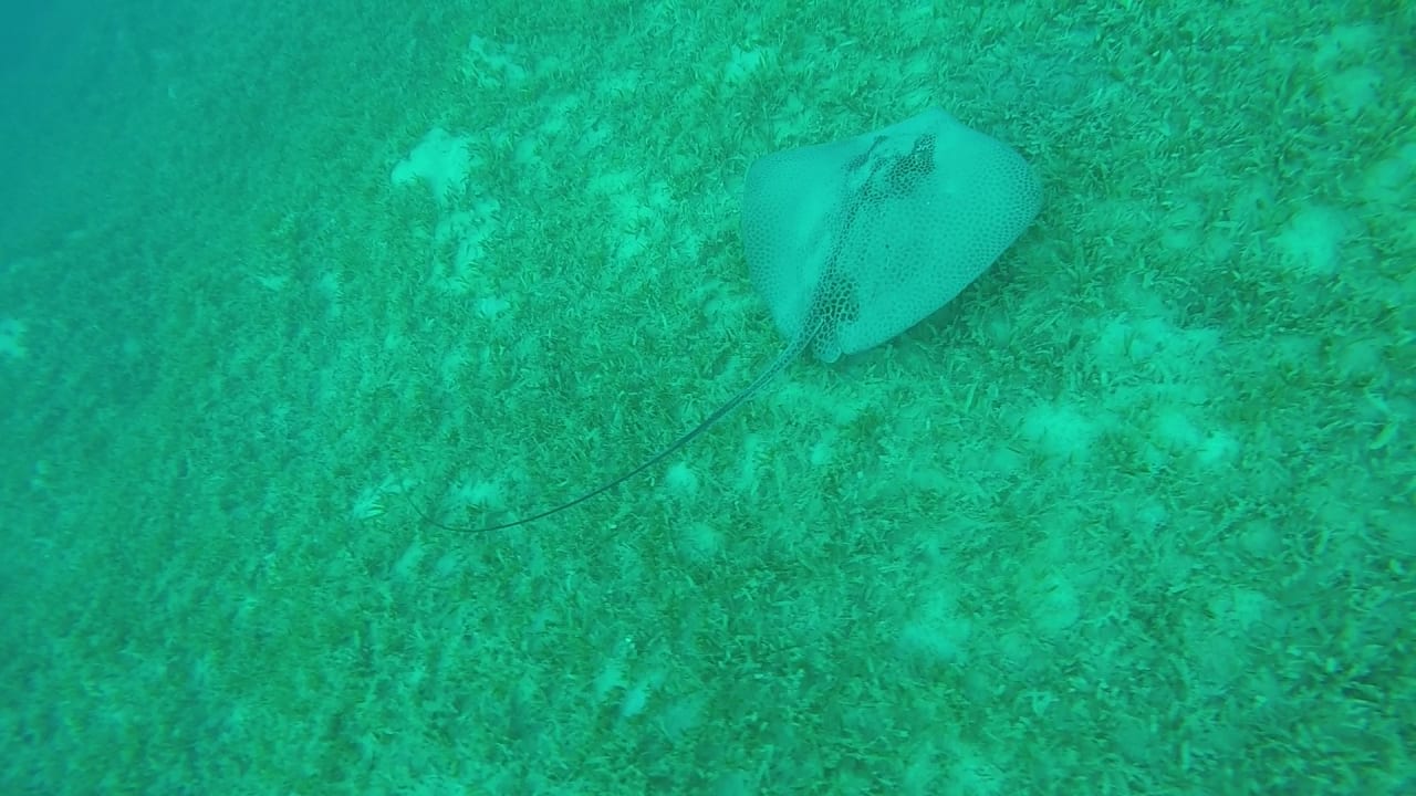 Sport & Freizeit Cleopatra Luxury Resort Makadi Bay