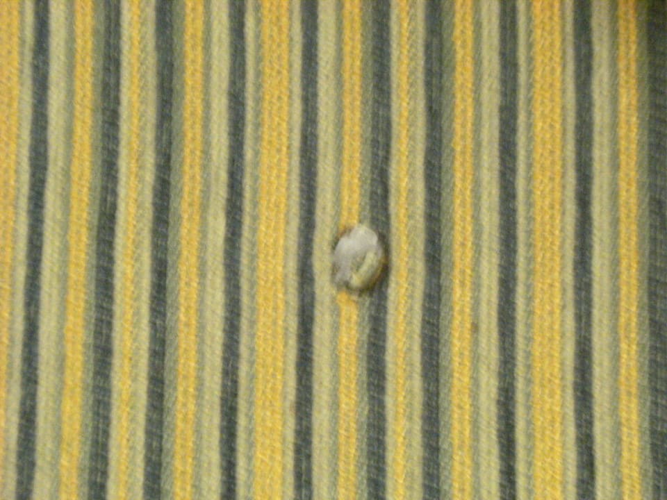 Brandlöcher Hotel Apart Garni Jungmann