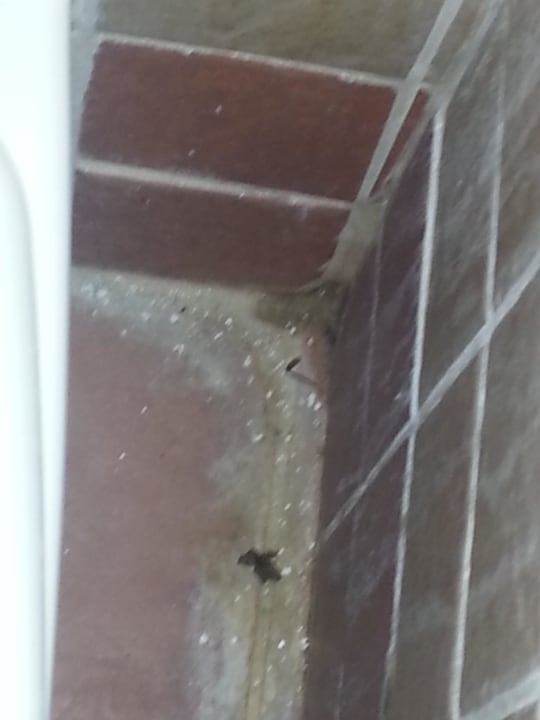 Bad nach Reinigung... Horus Paradise Luxury Resort & Club