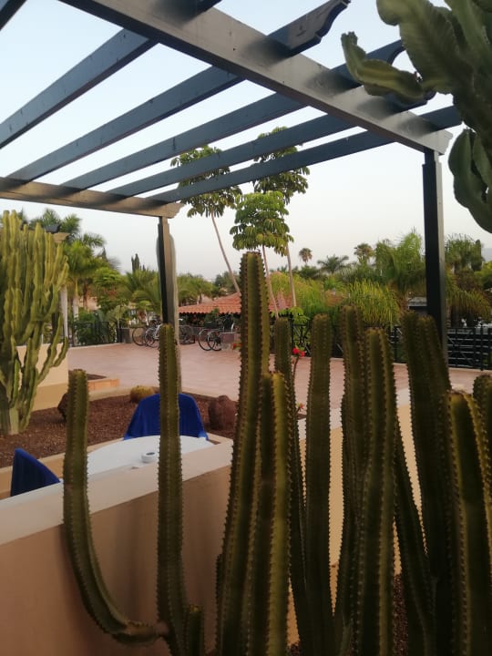 Garten allsun Hotel Esplendido
