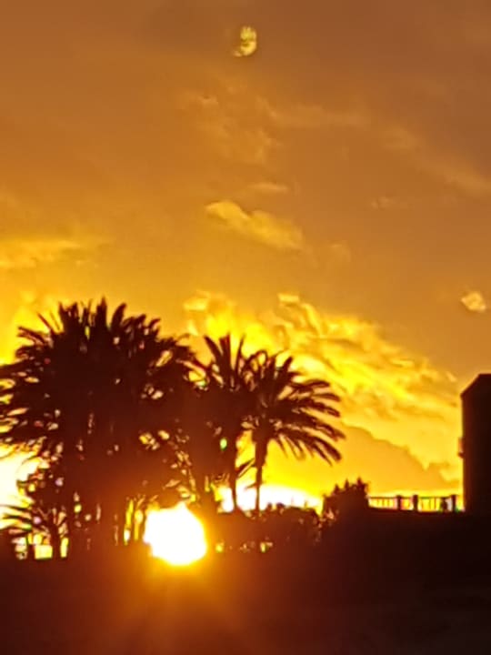 Ausblick Hotel Riu Palace Tenerife