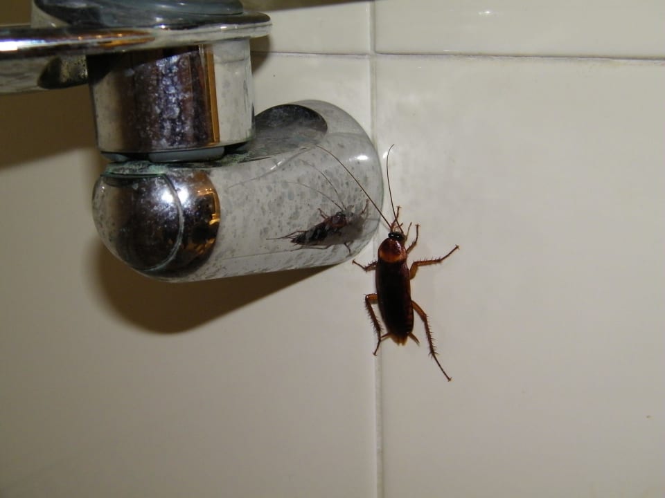 Ohne Worte Hotel El Mouradi Port El Kantaoui